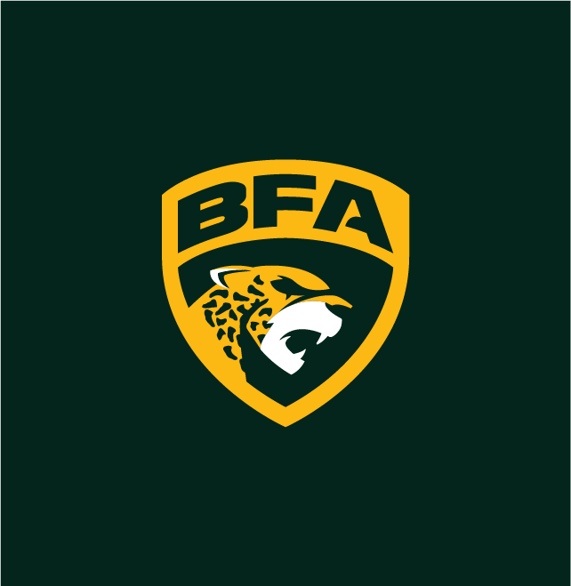 Nacione-Branding-Logo-Liga-BFA-2020