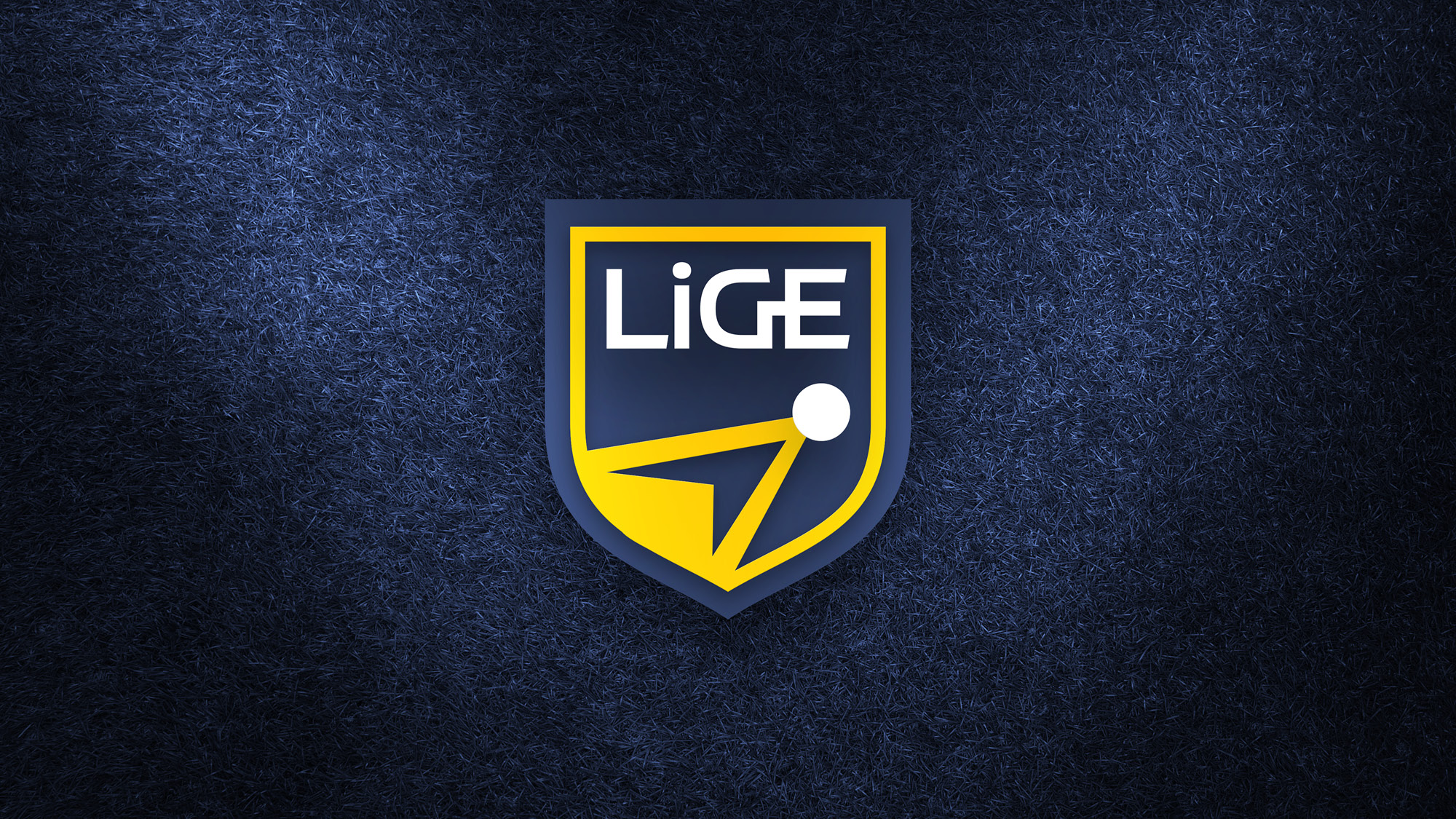 Branding Liga de Gestão Esportiva FGV - LiGE