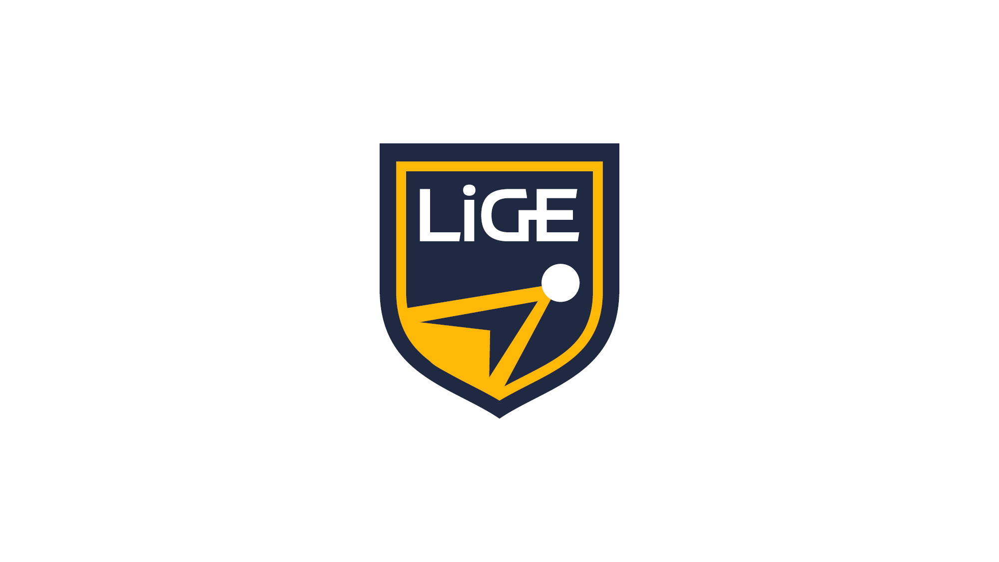 Lige-FGV-SP-Nacione-Branding4