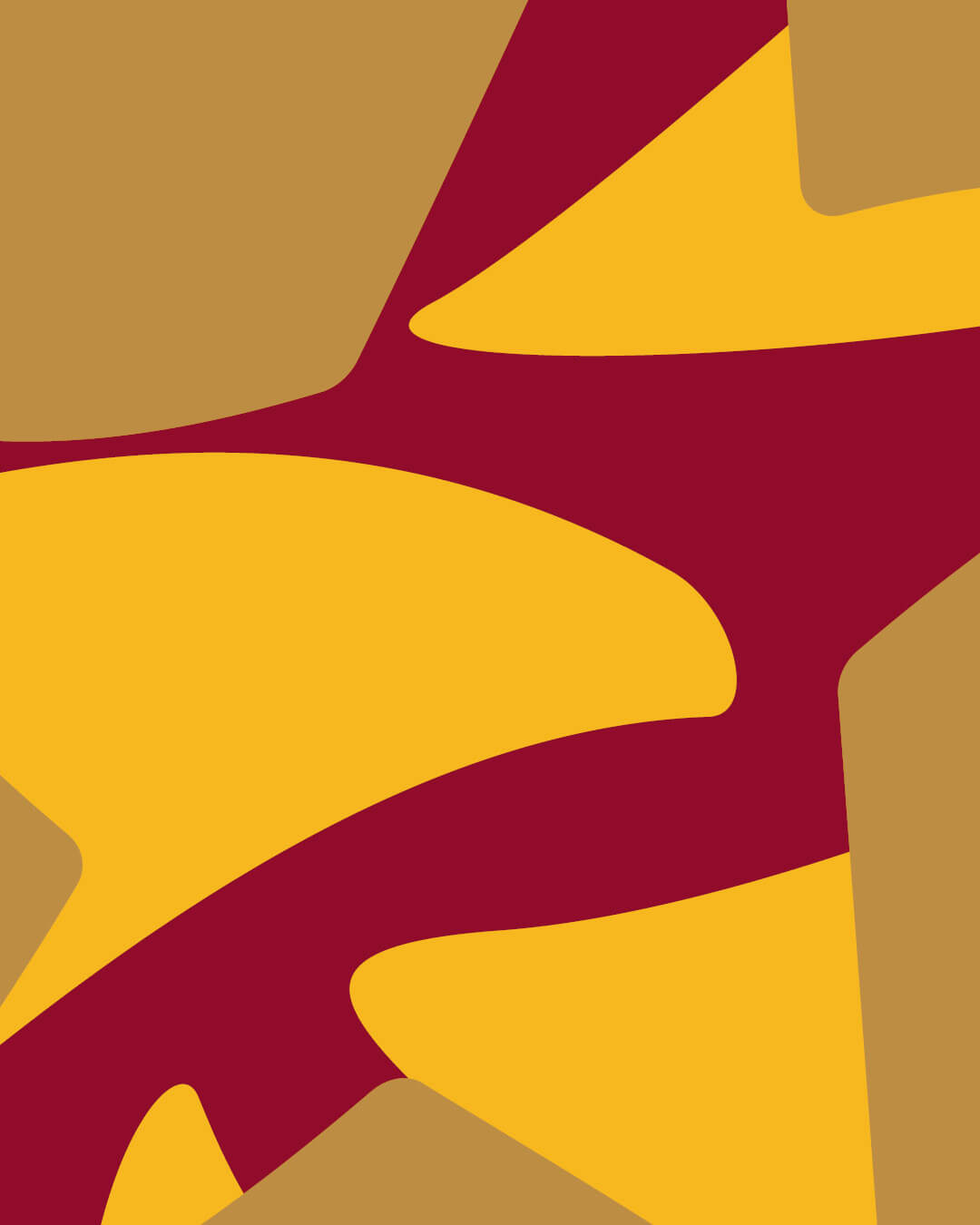 26 02 Nacione Branding Bissau Stars17